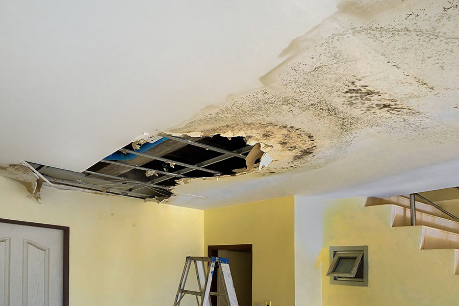 Damaged ceiling with exposed insulation and mold growth.